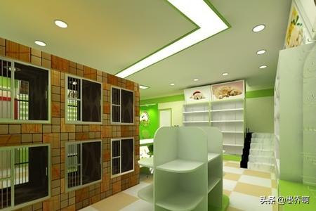 怎樣開寵物店?怎樣開寵物店才賺錢!
