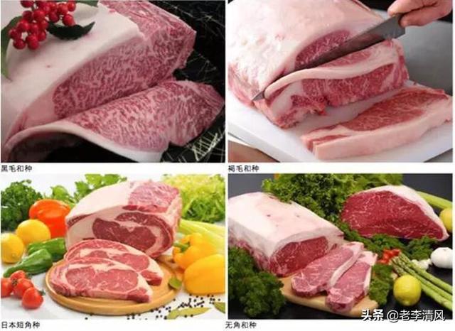 和牛的等级判定,第4张