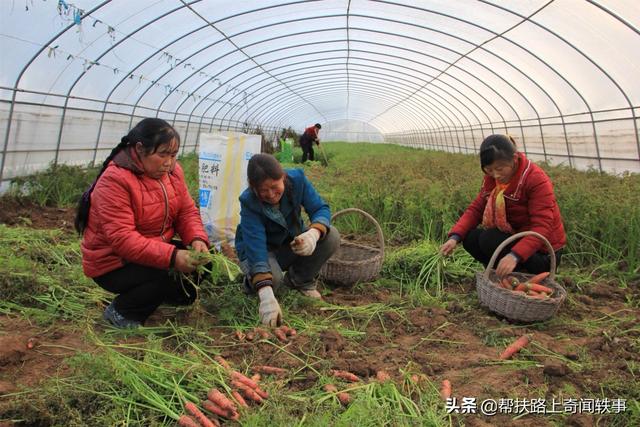 粮食价格上涨带动什么行业，粮食价格上涨带动什么行业发展