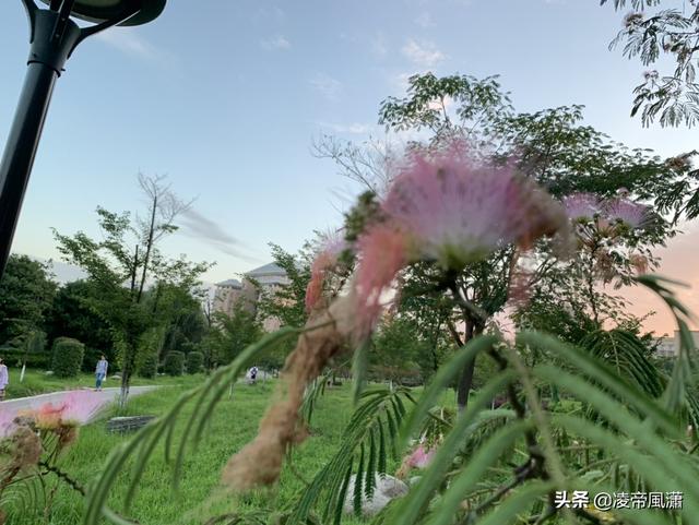 介绍各种汽车品牌的书籍,介绍各种汽车品牌的书籍有哪些
