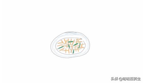 食物如何搭配营养简笔画(图6)