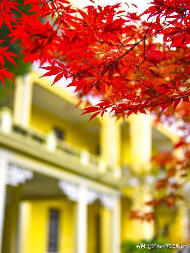 宝鸡秋天旅游景点大全， 宝鸡秋天旅游景点大全图片