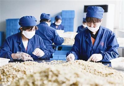 我家亳州怎么登录不上去了呢？：我家亳州