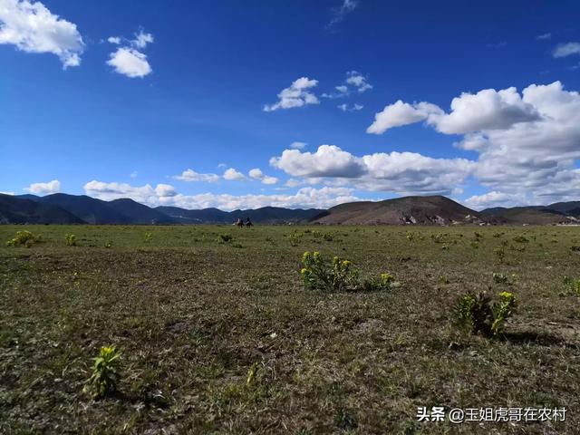 丽江必去的景点冬季有哪些(图3)