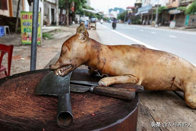 广东有肉汤的做法（狗肉汤的简单做法？）