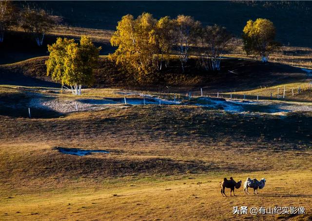 秋天旅游草原穿搭， 秋天旅游草原穿搭图片