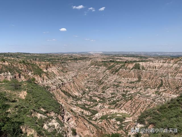 榆林市佳县纸飞机账号购买服务