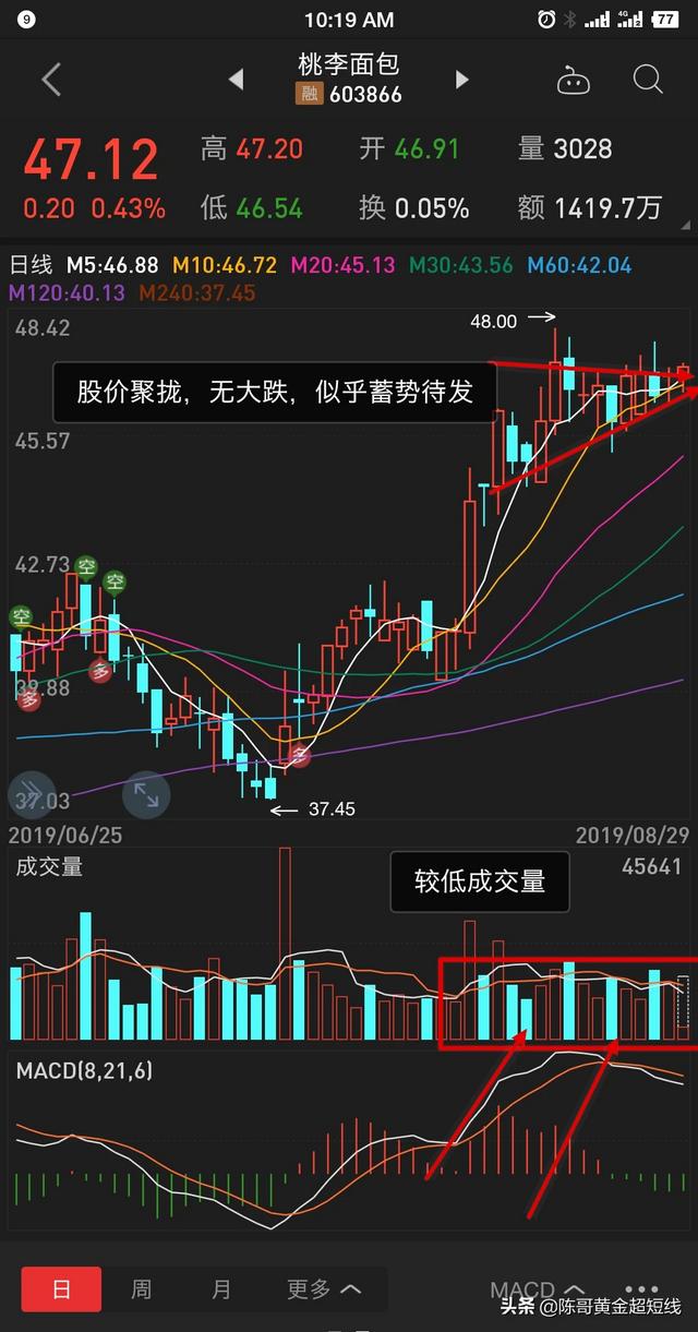 怎样选到第二天会大幅上涨的股票