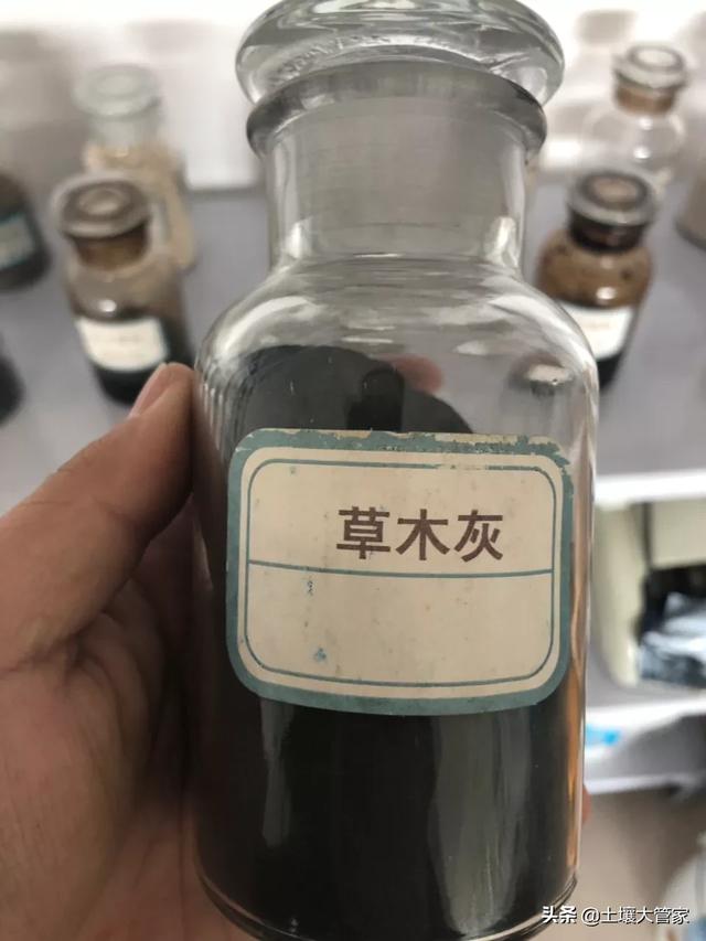 草莓是否可以用草木灰种植，草莓是否可以用草木灰种植呢