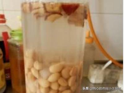豆浆的做法-豆浆的做法大全