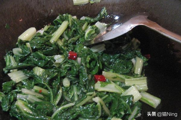 中午炒牛皮菜的做法大全(图11)