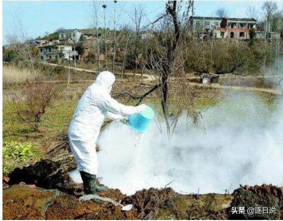 撒生石灰有什么功效