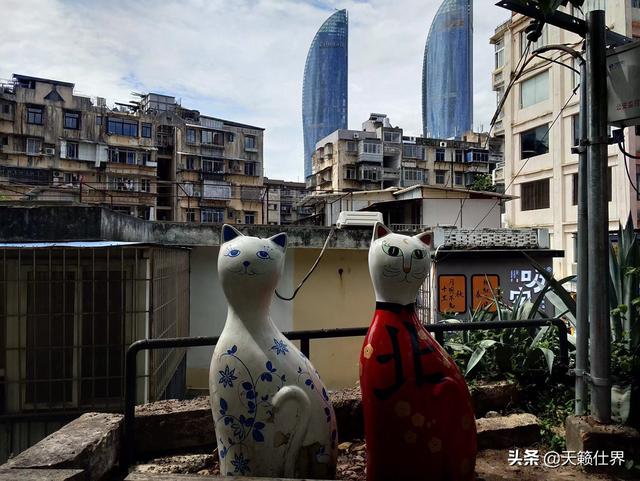厦门市双子塔房子怎么样