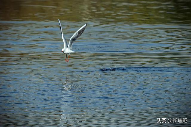 raw格式怎么转换jpg（raw格式怎么转换jpg文件大小会不会变小）