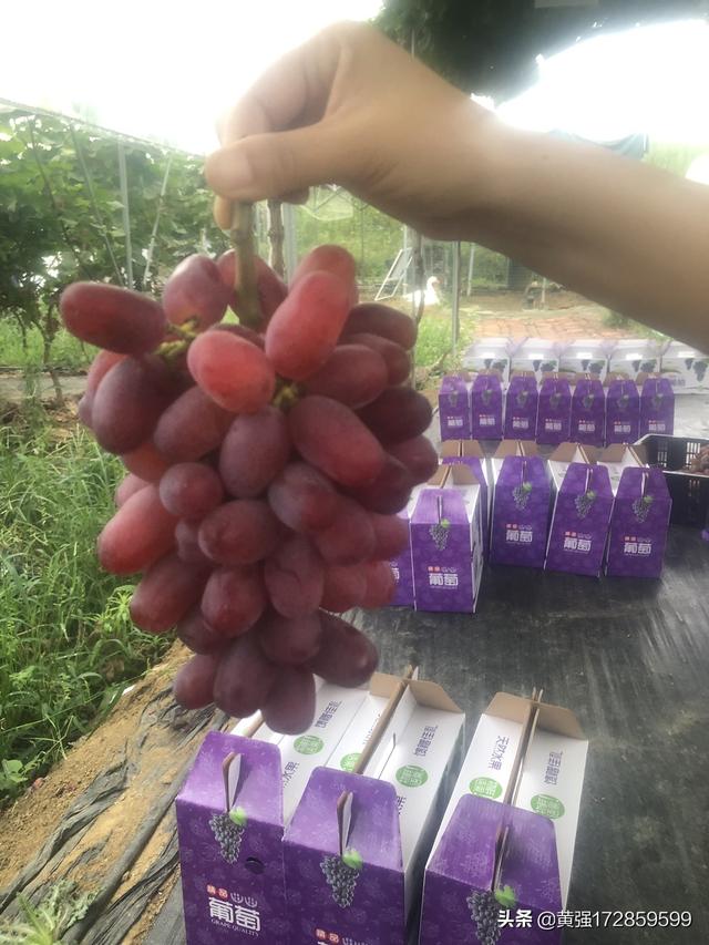 农业中比较好的专业有哪些 农学和农林经济管理哪个专业好？
