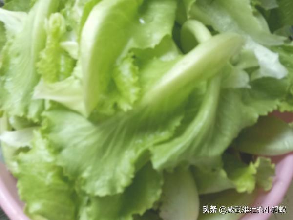 广东生菜包饺子做法（生菜可以用来做饺子馅吗？）