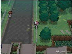 口袋妖怪黑2全神兽攻略 - 分岔口