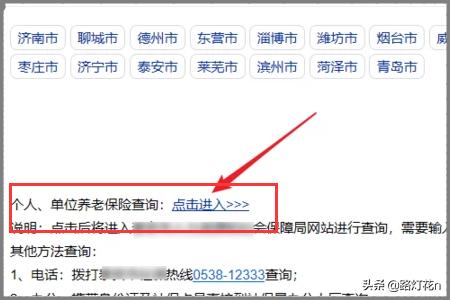 怎么查养老保险交了多少年，支付宝上怎么查养老保险交了多少年