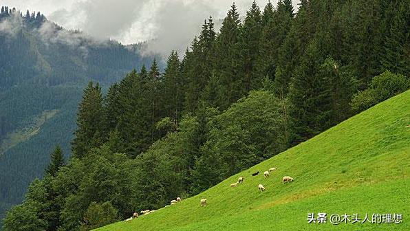 长沙桐木村景点门票价格， 长沙桐木村景点门票价格多少