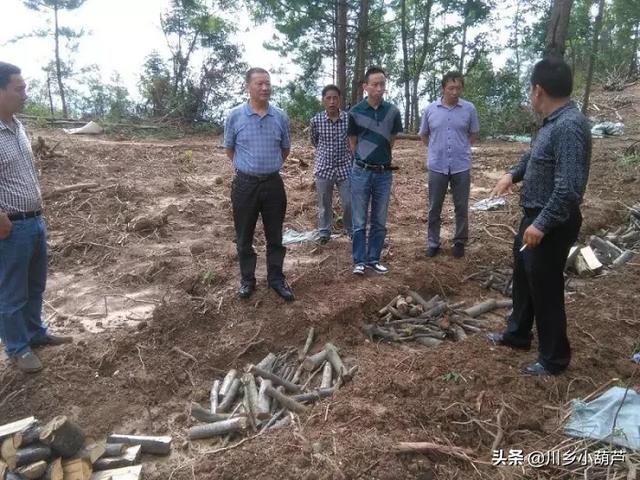 养殖业养什么风险比较小呢 农村里面做什么养殖最好，风险低？