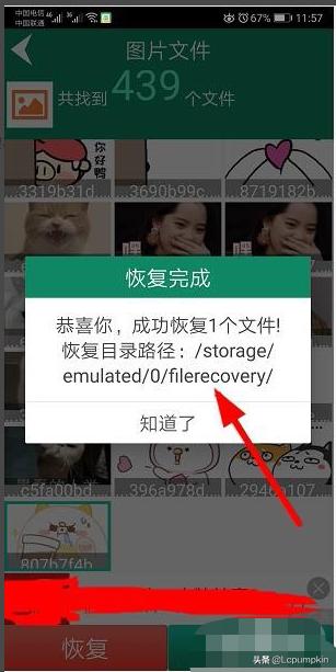 [手机删除文件恢复]怎样恢复手机删除的文件？