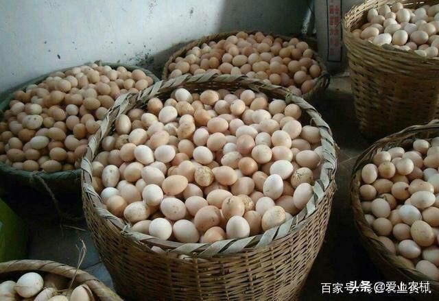 农户脚踩售卖葡萄干违法吗?_一个葡萄干是一个葡萄吗？