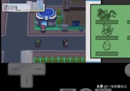 口袋妖怪白金光图文攻略 口袋妖怪白金光图文攻略口袋妖怪白金光剑舞在哪儿学-第1张图片-Game优搜