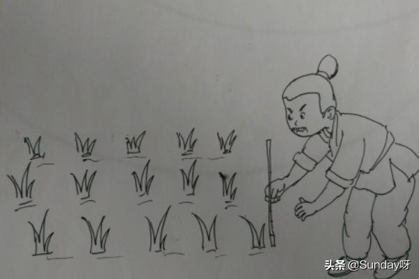 绿化种植图案 树木怎么画