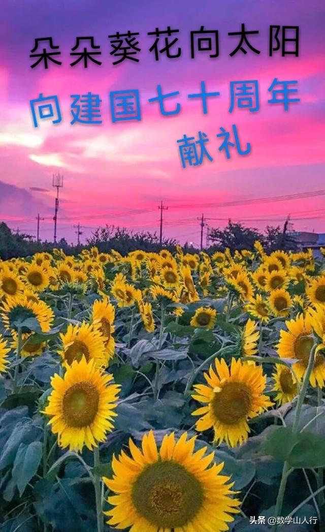 初二数学知识哪个好学，初二数学知识哪个好学一点