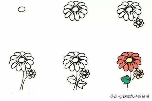 菊花简笔画花卉?菊花简笔画花卉图片!