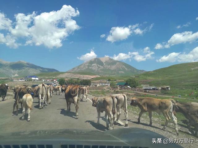 新疆必去景点排名第一名(图23)