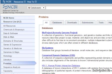 进化树的构建方法