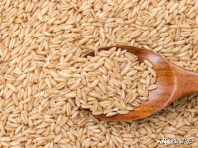 燕麦片和燕麦米怎么吃