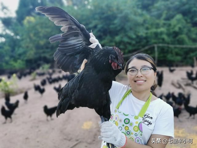 怎么做品牌推广(怎么做品牌推广方案)