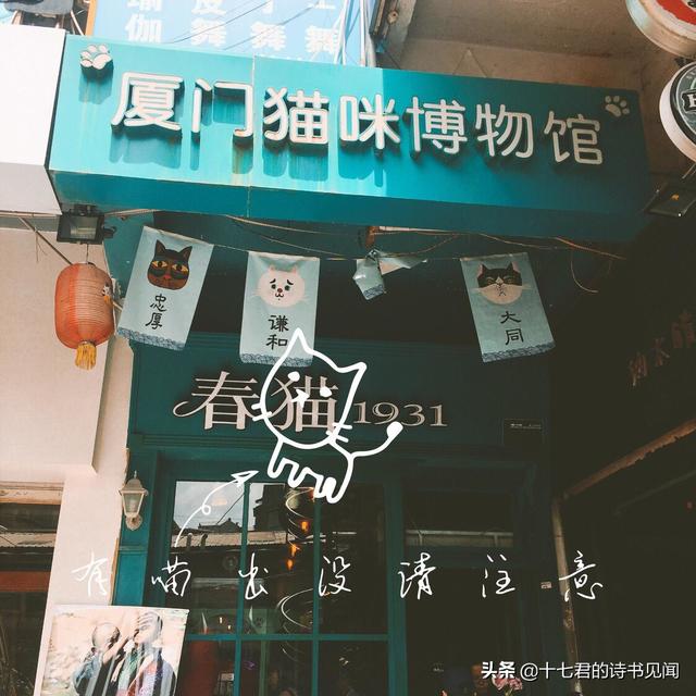厦门有哪些适合跟孩子一起去玩的景区呢？