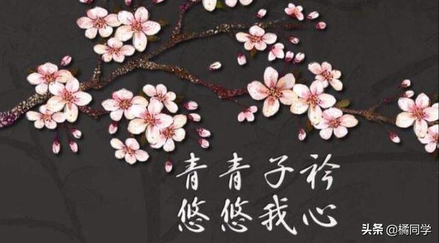 青青子衿txt新浪_青青子衿txt阅读