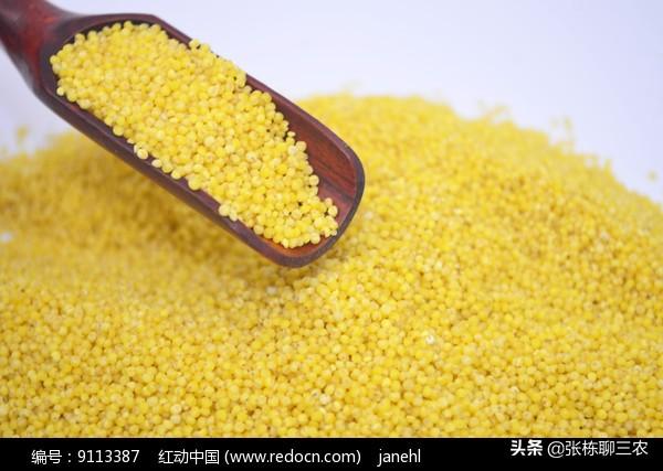 济南市有什么土特产吗