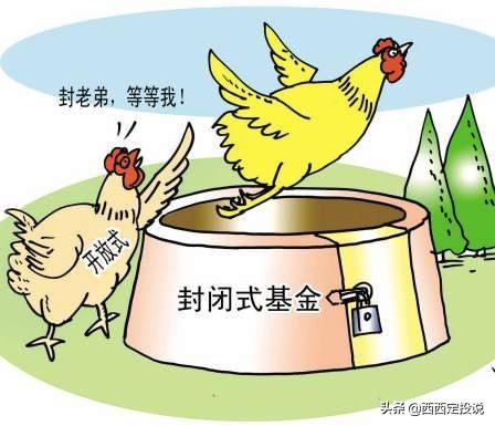 西西搭建网站赚钱
