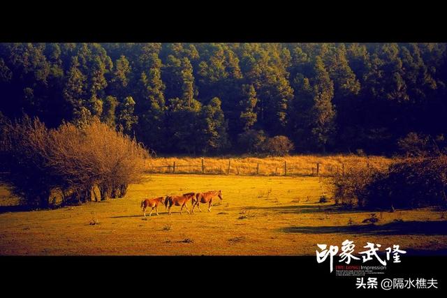 自驾武隆旅游攻略路线， 自驾武隆旅游攻略路线图