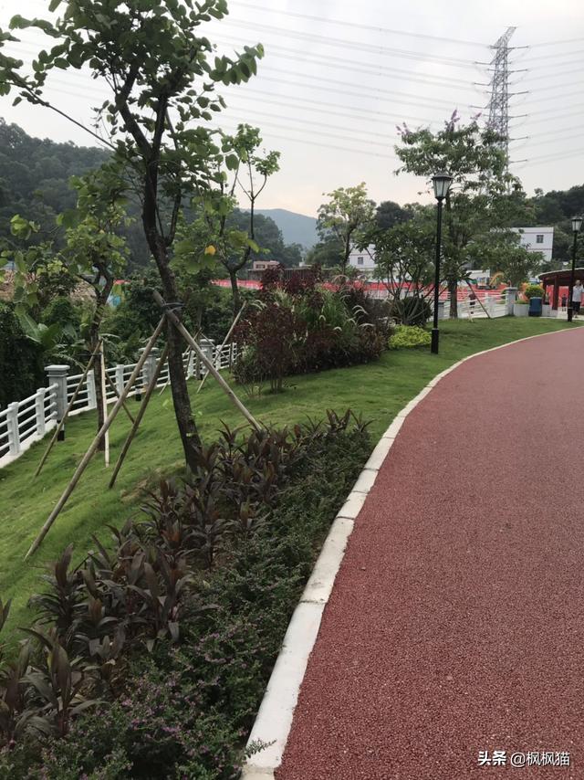 狗为什么喜欢贴墙走路,第5张