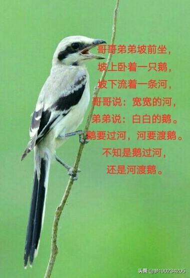 一段比较长的绕口令_超长的绕口令