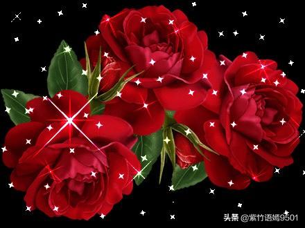 100个浪漫的花语（很浪漫的花语）