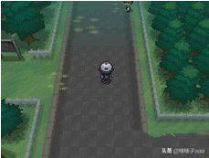 口袋妖怪黑2全神兽攻略 - 风车森林