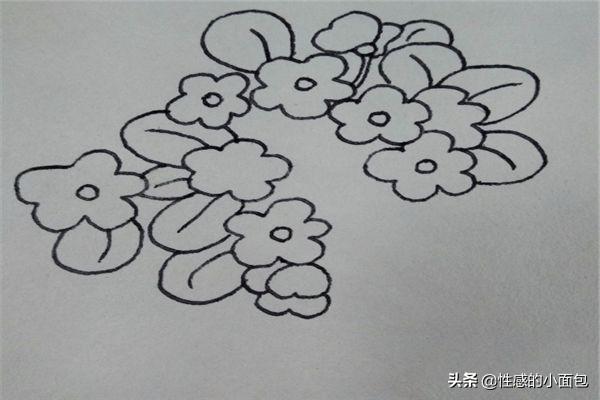 花卉树木手绘简笔画 养护方法