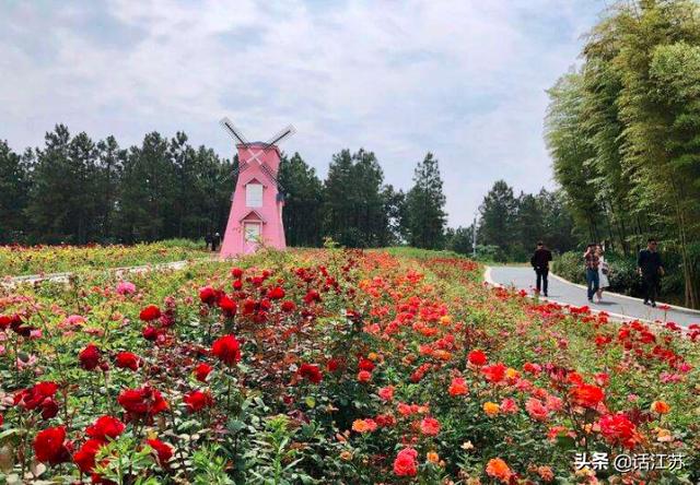 溧水玩什么好玩的地方（南京溧水最好玩的旅游景点有哪些溧水旅游攻？）