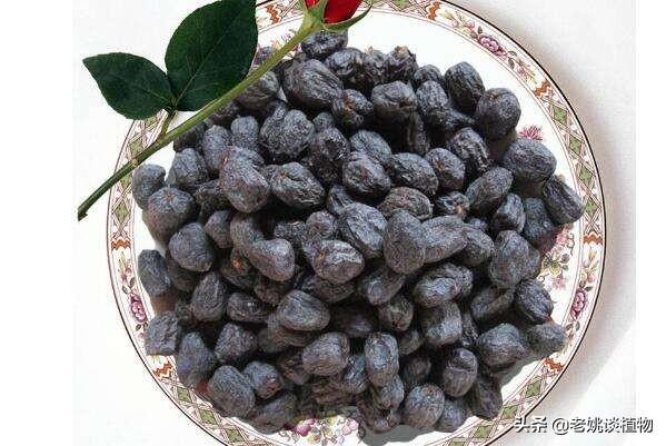 女人吃红枣还是黑枣好(图3)