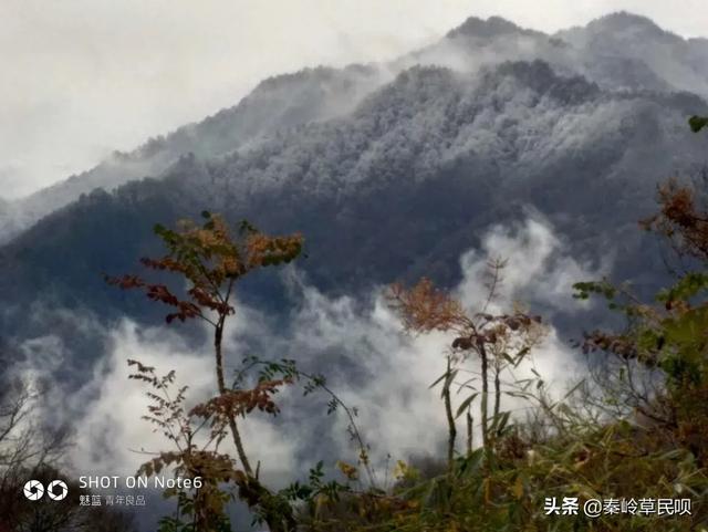 佛坪周边旅游景点大全， 佛坪周边旅游景点大全图片