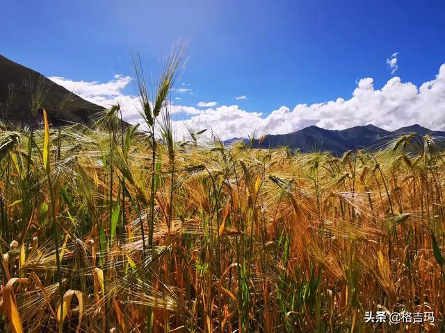 近处自驾游路线推荐，自驾游近点的地方好玩