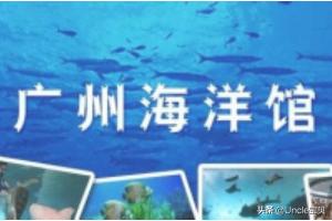 怎样玩转广州海洋馆？广东哪里的海洋馆最值得一去？