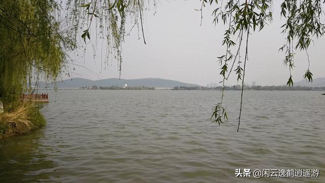 虾怎么保存给孩子吃视频(图2)